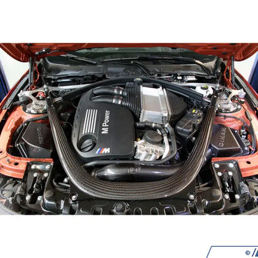 Dinan Carbon Fiber Intake System - F8X M3/M4