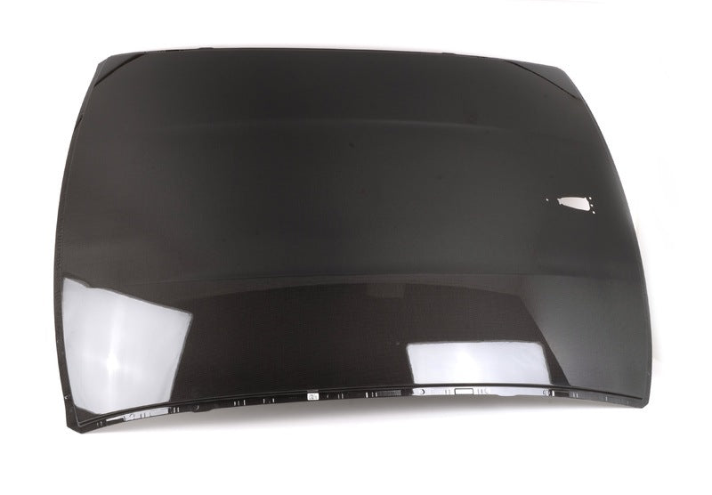 Genuine BMW Carbon Fibre Roof Panel - F30, F80 M3 - BMW 320i 328d 328i N20 N47