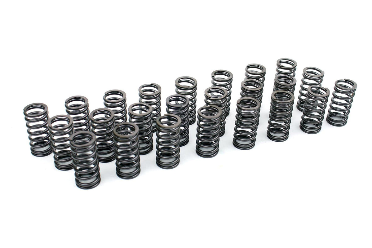 Performance Valve Spring Upgrade Set for BMW M57 24v 3.0 Diesel