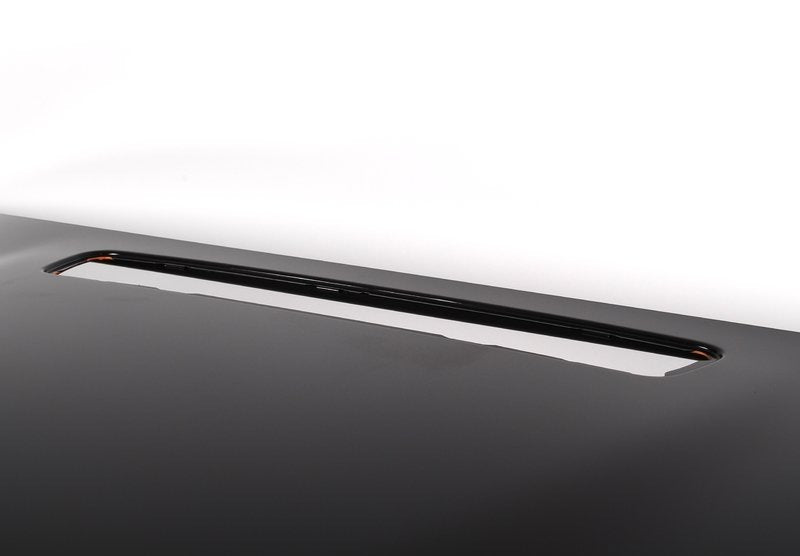 Genuine BMW Hood - E46 M3 - BMW S54