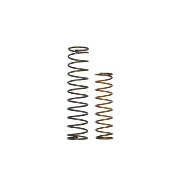 OLD Race Port Spring Kit