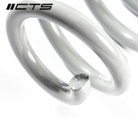 CTS Turbo Audi B9/9.5 A4/S4/A5/S5/Allroad Lowering Springs