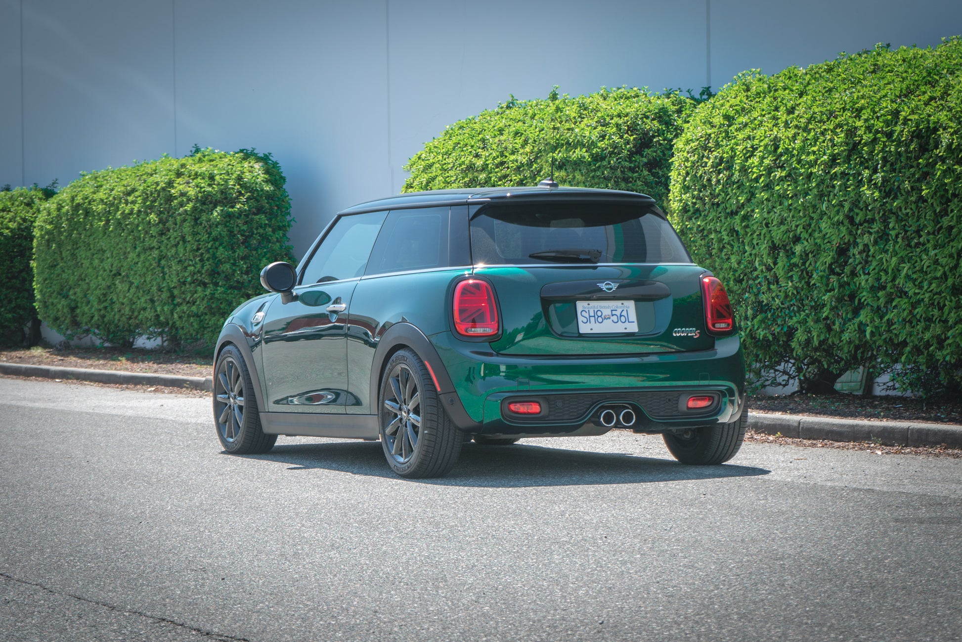 CTS Turbo F55/F56 Mini Cooper/Cooper S/JCW Lowering Springs