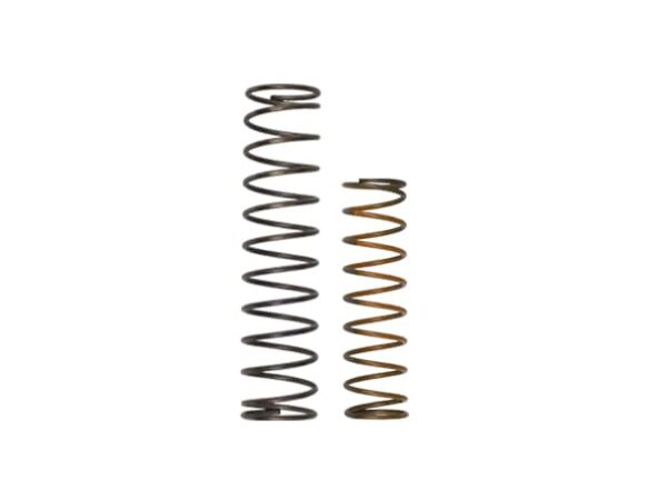 OLD Race Port Spring Kit - Image 1