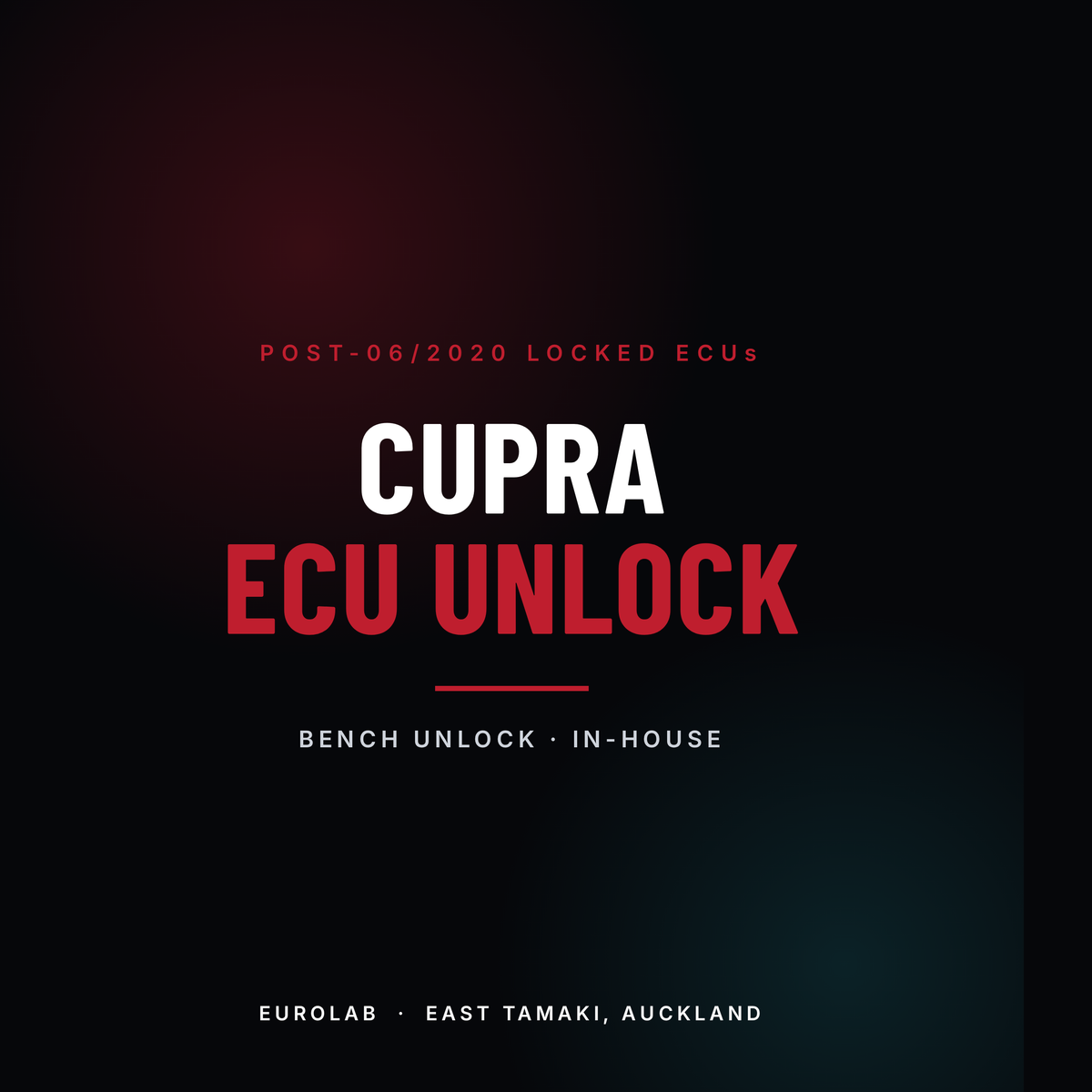 Cupra ECU unlock service at EuroLab, East Tamaki, Auckland