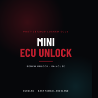 Mini ECU Unlock Service